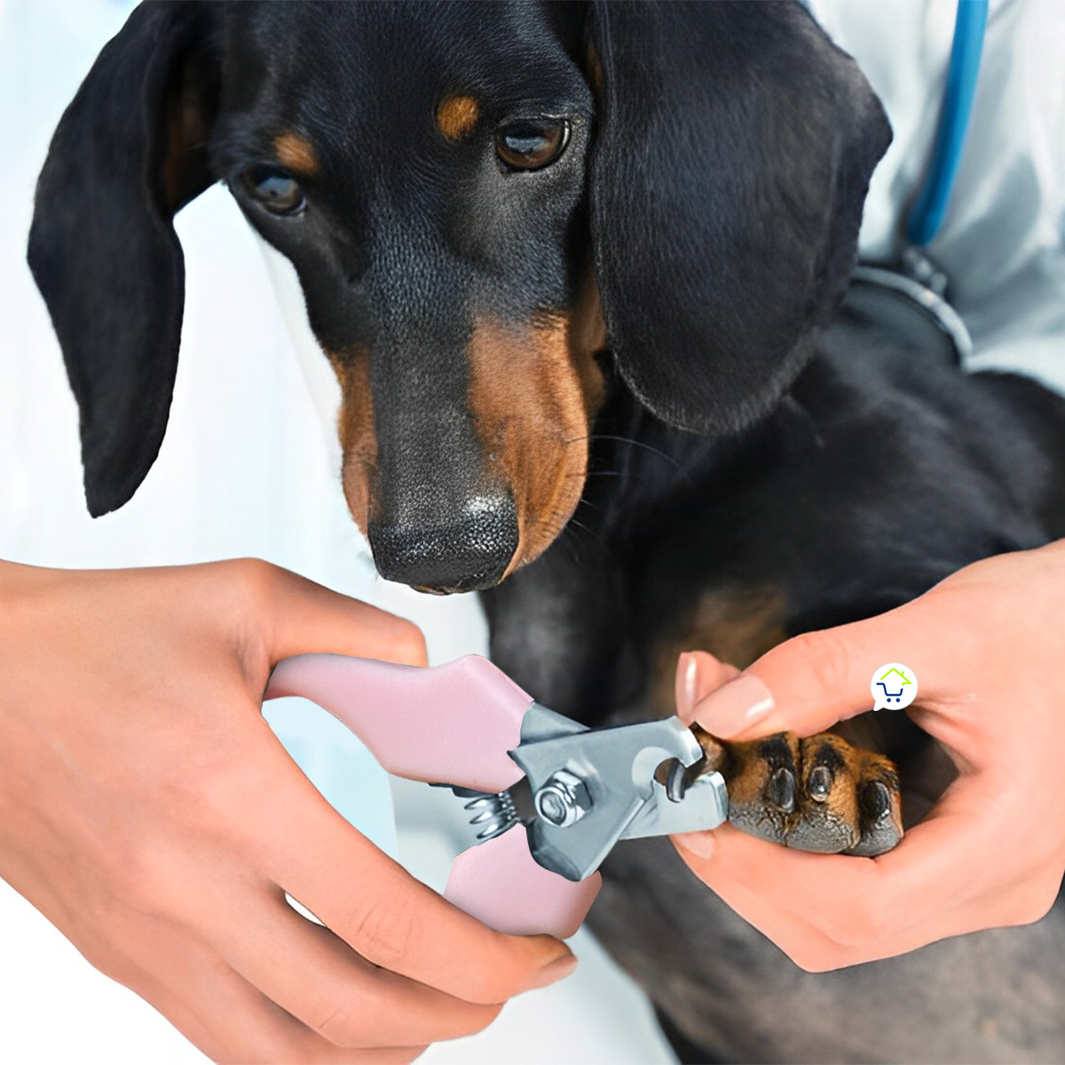 Miniatura 3 de Maquina Motilar Mascotas KM-1056